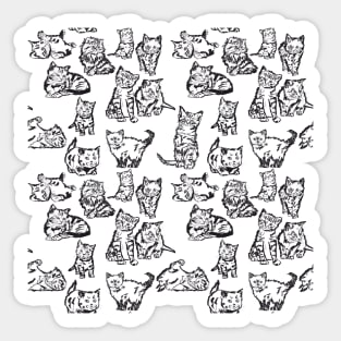 Kittens! Sticker